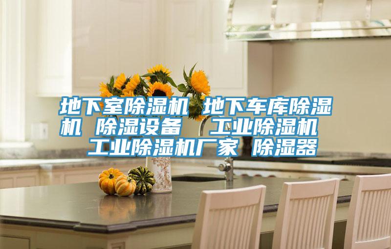 地下室除濕機(jī) 地下車庫除濕機(jī) 除濕設(shè)備  工業(yè)除濕機(jī)  工業(yè)除濕機(jī)廠家 除濕器