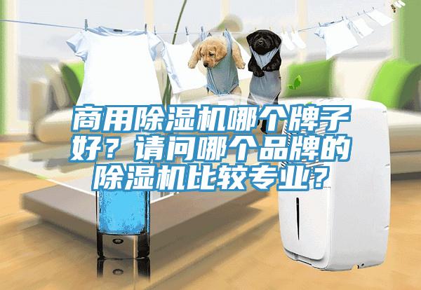 商用除濕機(jī)哪個(gè)牌子好？請(qǐng)問(wèn)哪個(gè)品牌的除濕機(jī)比較專(zhuān)業(yè)？