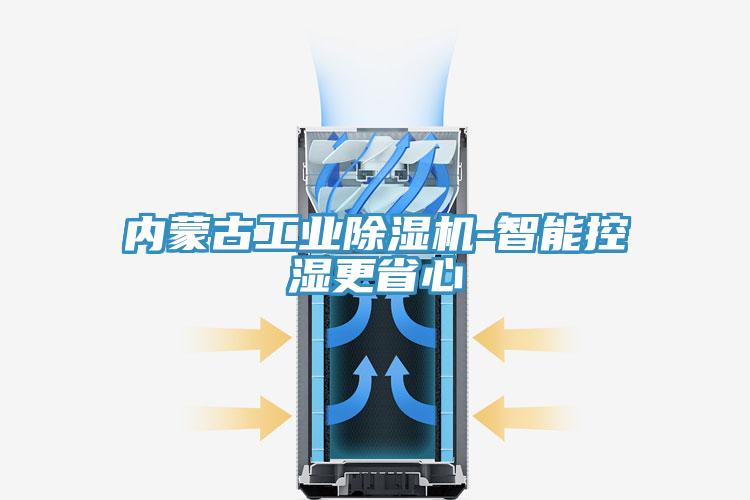內(nèi)蒙古工業(yè)除濕機(jī)-智能控濕更省心