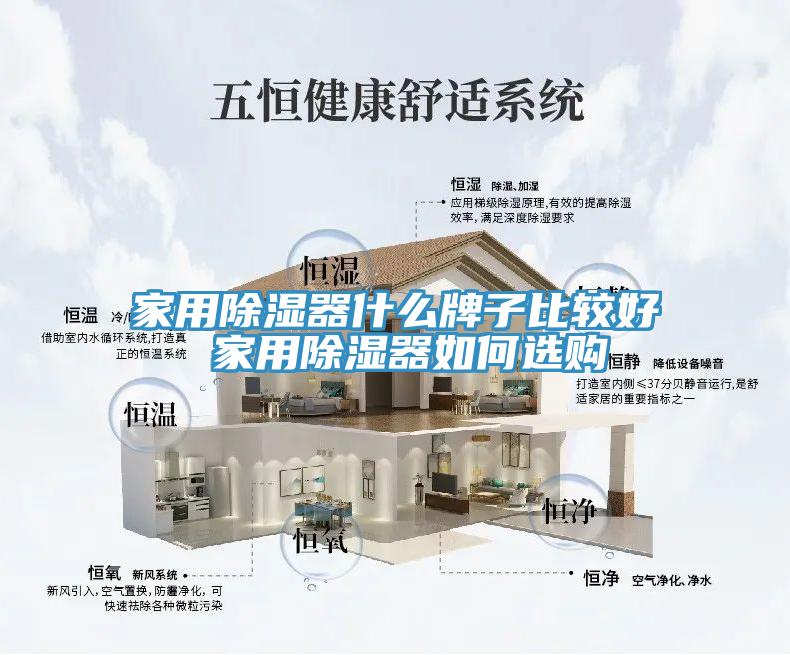 家用除濕器什么牌子比較好 家用除濕器如何選購(gòu)