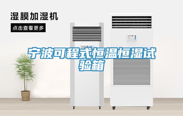 寧波可程式恒溫恒濕試驗箱
