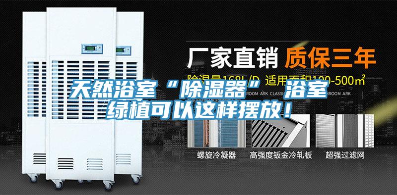 天然浴室“除濕器” 浴室綠植可以這樣擺放！