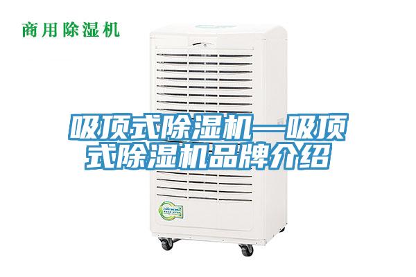 吸頂式除濕機(jī)—吸頂式除濕機(jī)品牌介紹