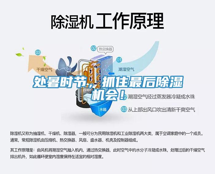 處暑時(shí)節(jié)，抓住最后除濕機(jī)會(huì)！