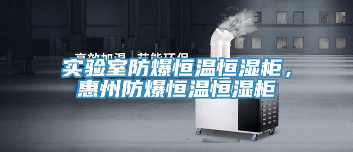 實(shí)驗(yàn)室防爆恒溫恒濕柜，惠州防爆恒溫恒濕柜