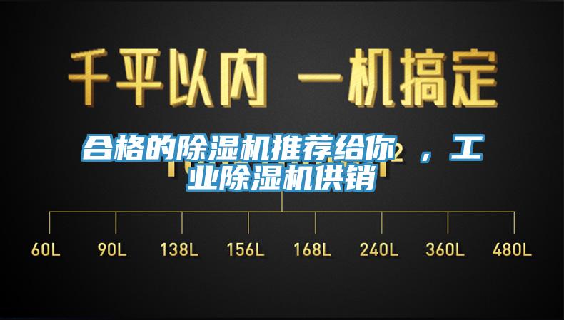 合格的除濕機(jī)推薦給你 ，工業(yè)除濕機(jī)供銷(xiāo)