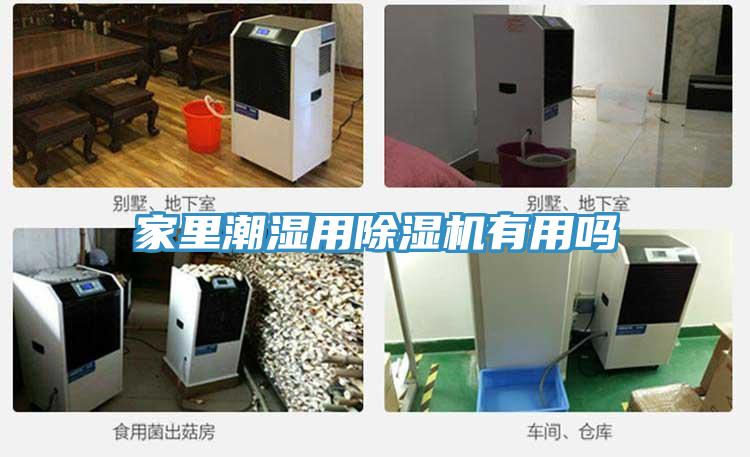 家里潮濕用除濕機有用嗎