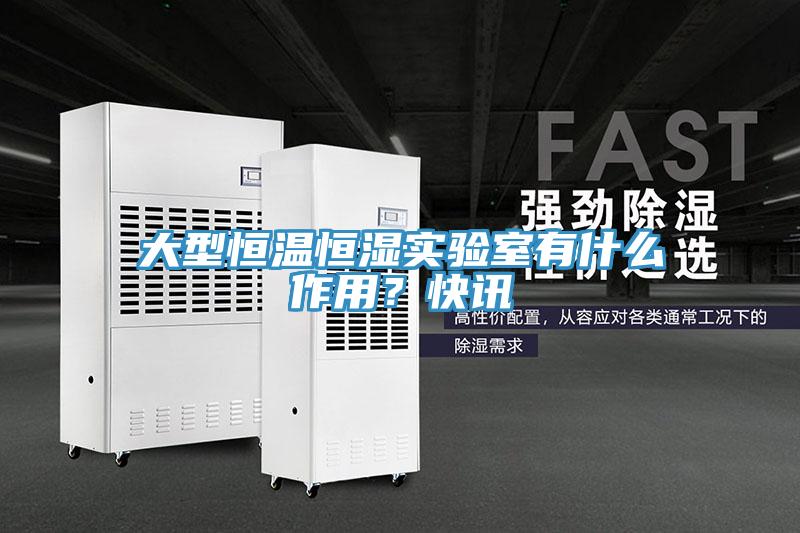大型恒溫恒濕實(shí)驗(yàn)室有什么作用？快訊