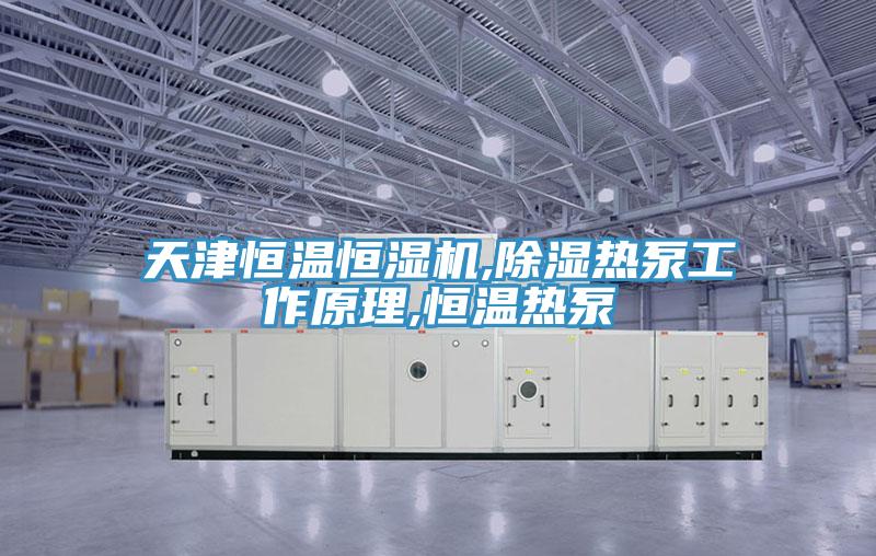 天津恒溫恒濕機,除濕熱泵工作原理,恒溫?zé)岜?></div>
								<div   id=
