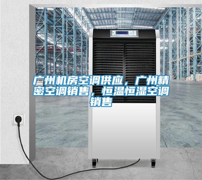 廣州機房空調(diào)供應，廣州精密空調(diào)銷售，恒溫恒濕空調(diào)銷售