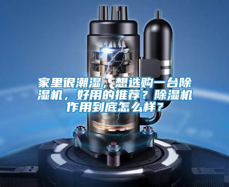 家里很潮濕，想選購一臺除濕機(jī)，好用的推薦？除濕機(jī)作用到底怎么樣？