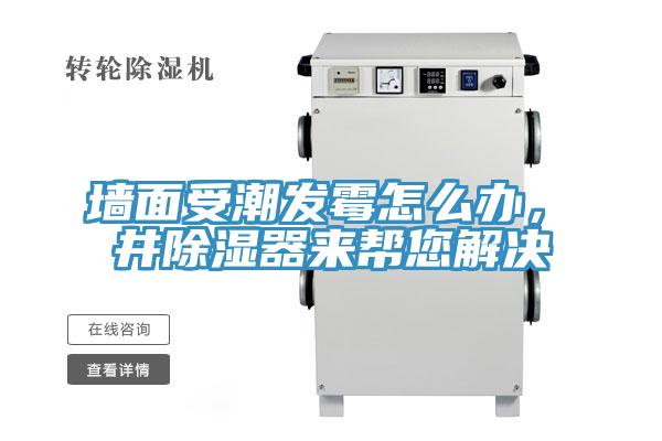 墻面受潮發(fā)霉怎么辦，東井除濕器來(lái)幫您解決