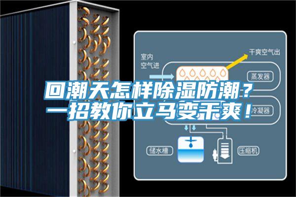 回潮天怎樣除濕防潮？一招教你立馬變干爽！