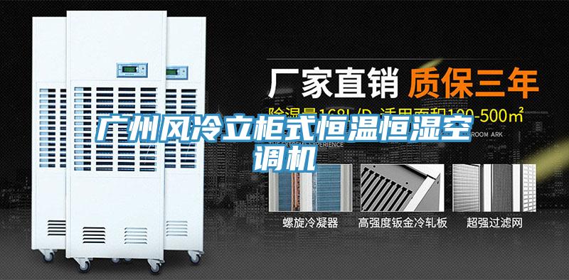 廣州風冷立柜式恒溫恒濕空調(diào)機