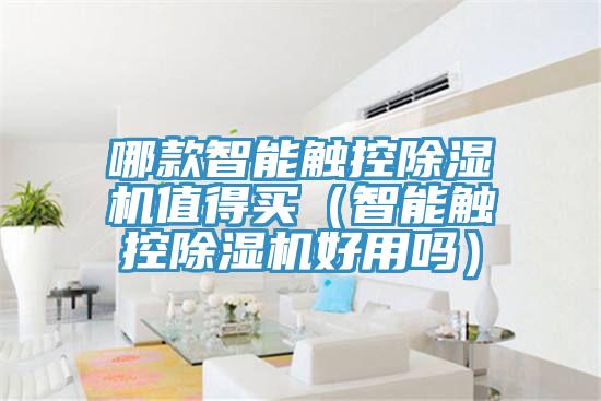 哪款智能觸控除濕機(jī)值得買（智能觸控除濕機(jī)好用嗎）