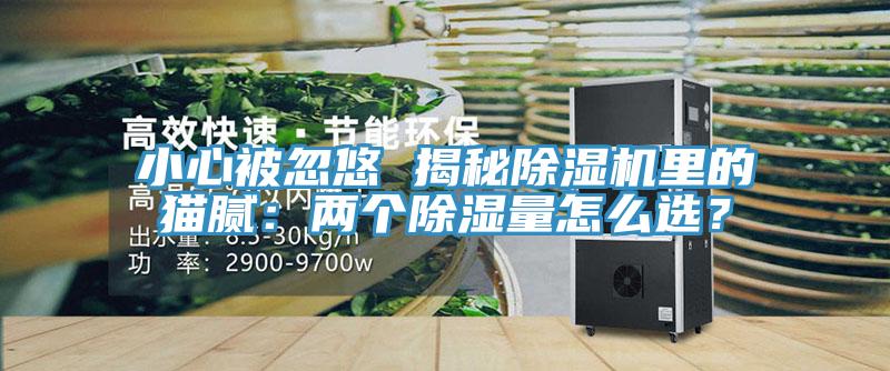 小心被忽悠 揭秘除濕機(jī)里的貓膩：兩個(gè)除濕量怎么選？