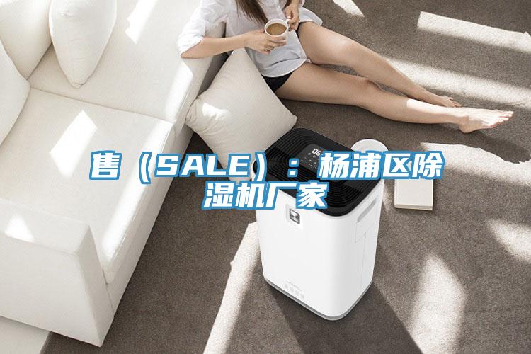 售（SALE）：楊浦區(qū)除濕機(jī)廠家