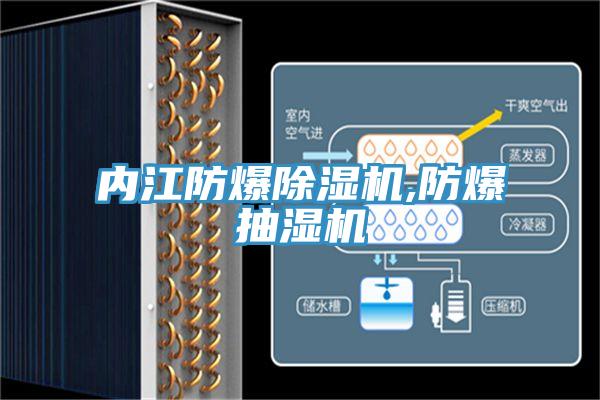 內(nèi)江防爆除濕機(jī),防爆抽濕機(jī)