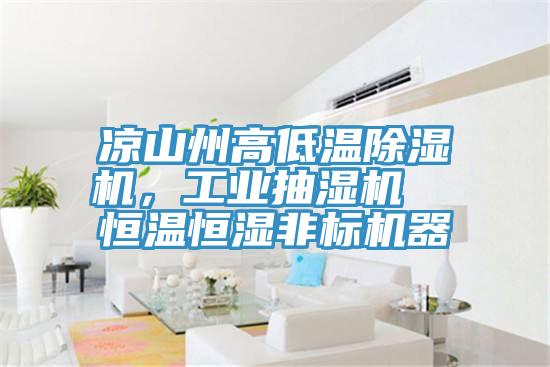 涼山州高低溫除濕機，工業(yè)抽濕機  恒溫恒濕非標機器