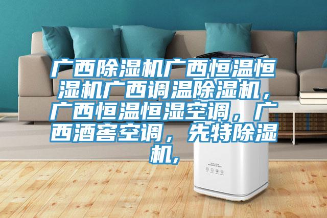 廣西除濕機廣西恒溫恒濕機廣西調溫除濕機，廣西恒溫恒濕空調，廣西酒窖空調，先特除濕機,