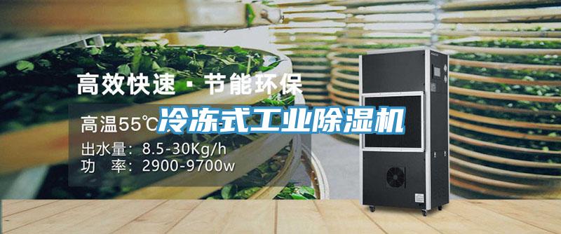 冷凍式工業(yè)除濕機