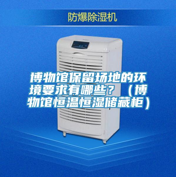博物館保留場(chǎng)地的環(huán)境要求有哪些？（博物館恒溫恒濕儲(chǔ)藏柜）