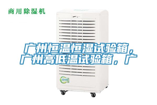 廣州恒溫恒濕試驗箱，廣州高低溫試驗箱，廣
