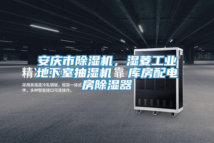安慶市除濕機，濕菱工業(yè)地下室抽濕機  庫房配電房除濕器