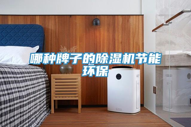 哪種牌子的除濕機節(jié)能環(huán)保