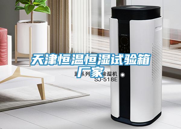 天津恒溫恒濕試驗(yàn)箱廠家