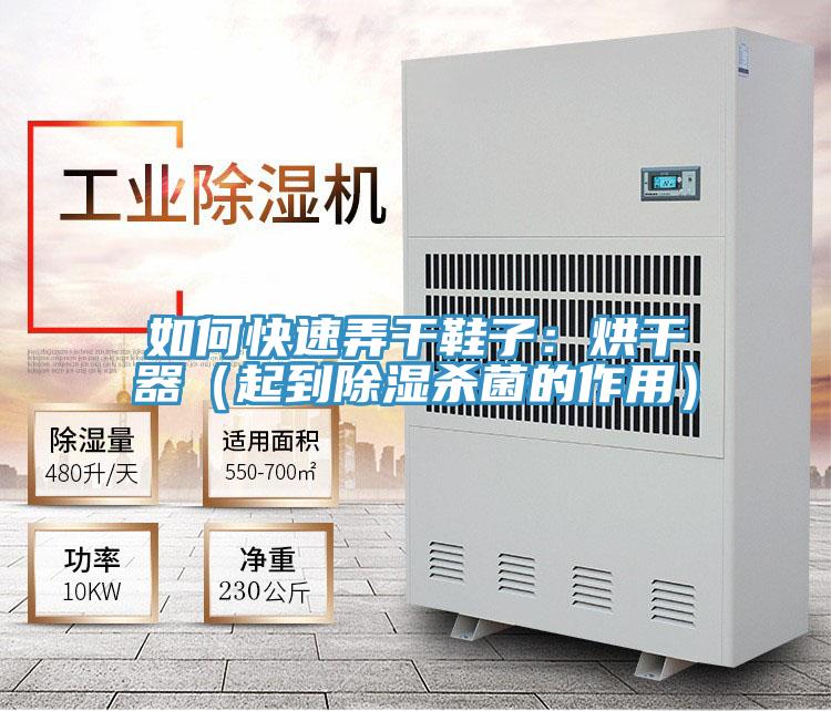 如何快速弄干鞋子：烘干器（起到除濕殺菌的作用）