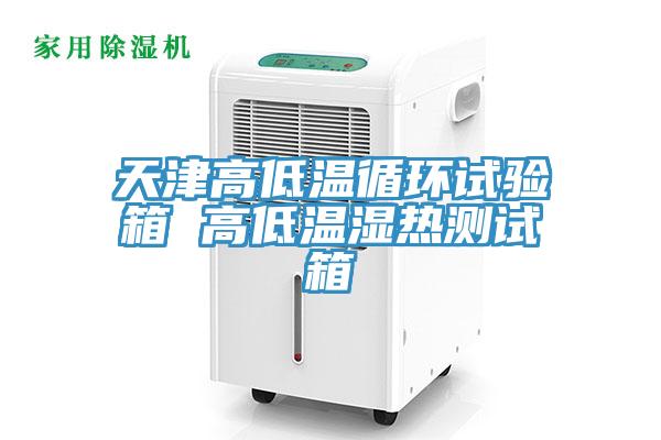 天津高低溫循環(huán)試驗箱 高低溫濕熱測試箱