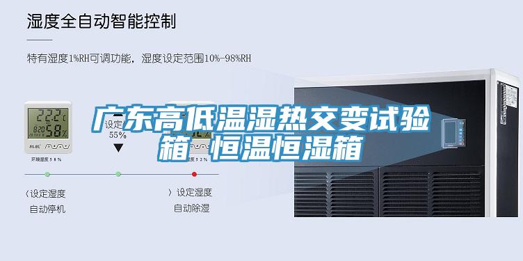 廣東高低溫濕熱交變試驗(yàn)箱 恒溫恒濕箱