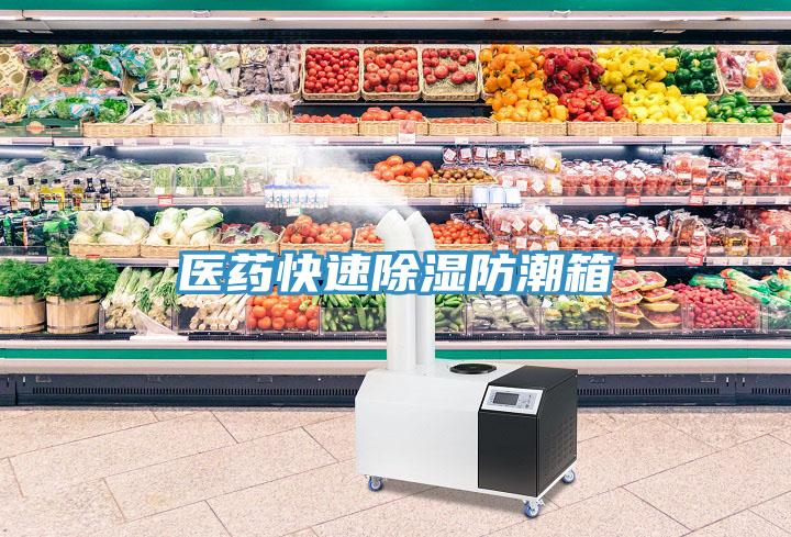 醫(yī)藥快速除濕防潮箱
