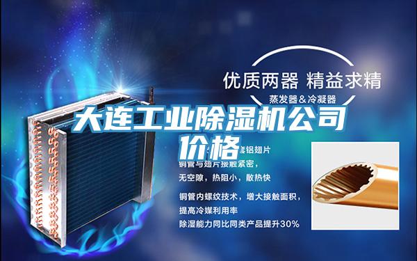 大連工業(yè)除濕機公司價格
