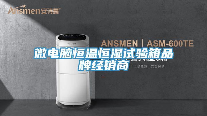 微電腦恒溫恒濕試驗(yàn)箱品牌經(jīng)銷(xiāo)商