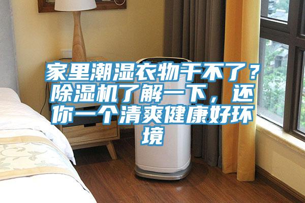 家里潮濕衣物干不了？除濕機了解一下，還你一個清爽健康好環(huán)境