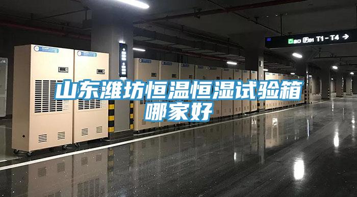 山東濰坊恒溫恒濕試驗(yàn)箱哪家好