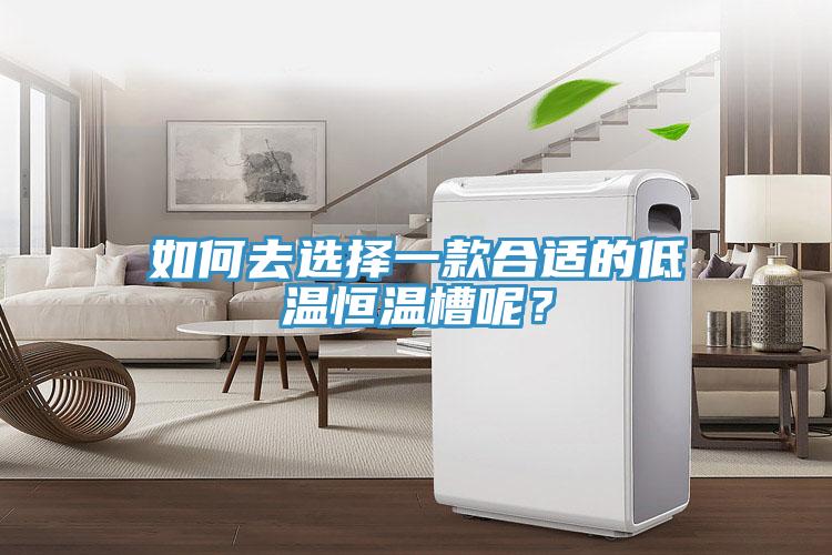 如何去選擇一款合適的低溫恒溫槽呢？