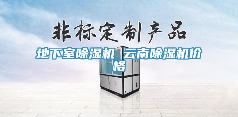 地下室除濕機(jī) 云南除濕機(jī)價(jià)格