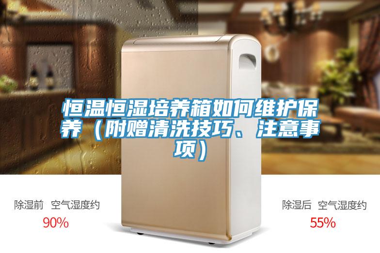 恒溫恒濕培養(yǎng)箱如何維護(hù)保養(yǎng)（附贈清洗技巧、注意事項(xiàng)）