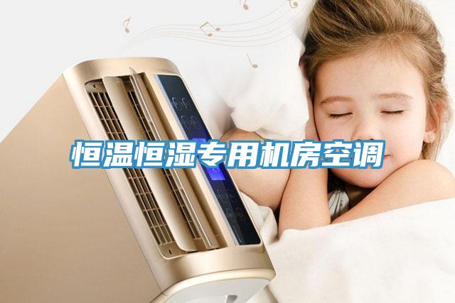 恒溫恒濕專用機房空調(diào)