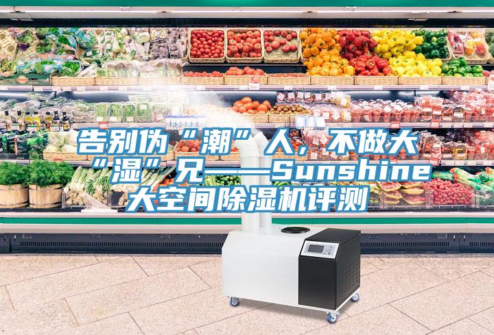 告別偽“潮”人，不做大“濕”兄——Sunshine大空間除濕機評測