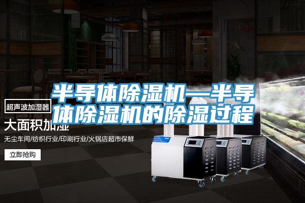 半導(dǎo)體除濕機—半導(dǎo)體除濕機的除濕過程