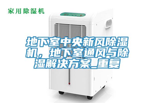 地下室中央新風(fēng)除濕機(jī)，地下室通風(fēng)與除濕解決方案_重復(fù)