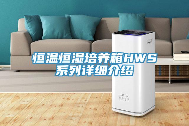 恒溫恒濕培養(yǎng)箱HWS系列詳細(xì)介紹