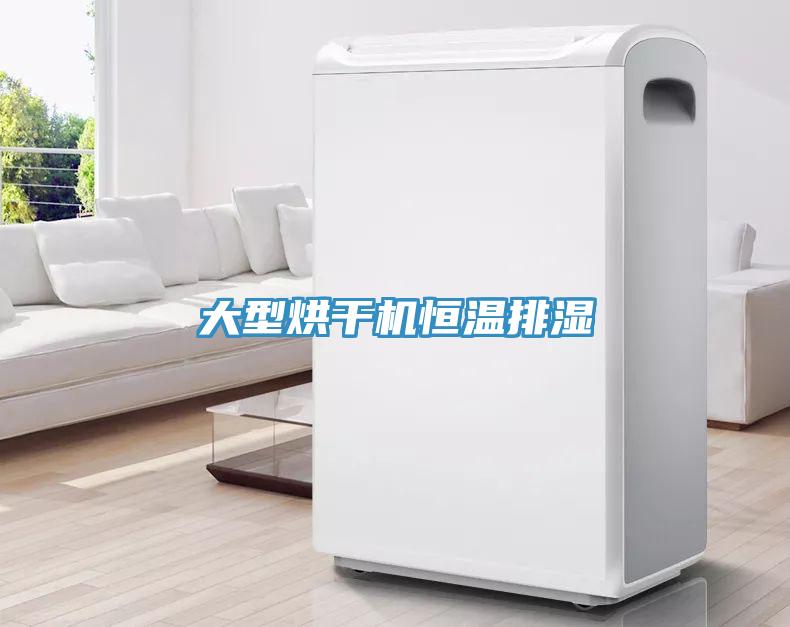 大型烘干機(jī)恒溫排濕