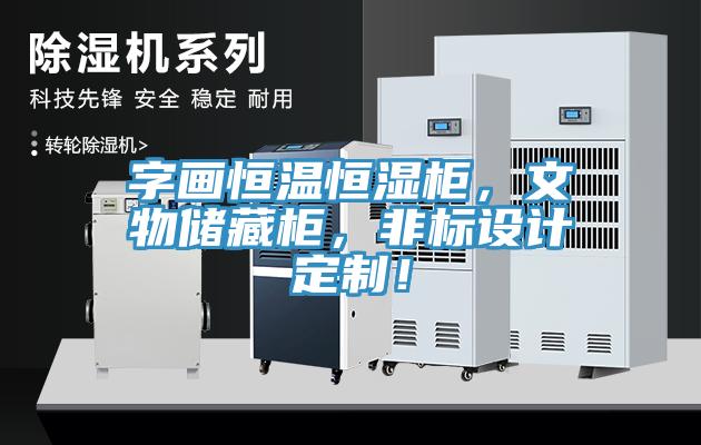字畫恒溫恒濕柜，文物儲藏柜，非標設(shè)計定制！