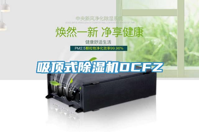 吸頂式除濕機DCFZ