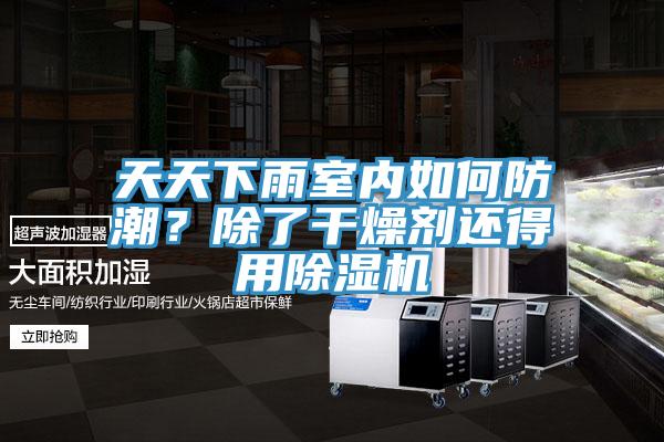 天天下雨室內(nèi)如何防潮？除了干燥劑還得用除濕機